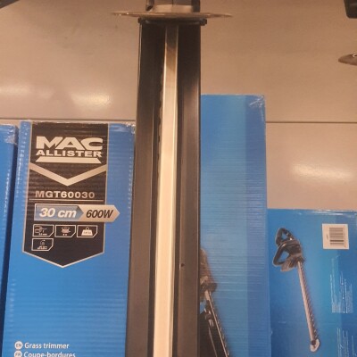 MAC ALLİSTER ÇİT BUDAMA